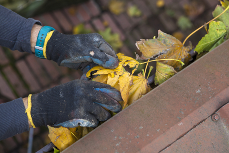 hand cleaning fall leaves from a gutter