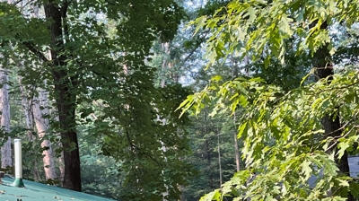 Gutter Installation Photo